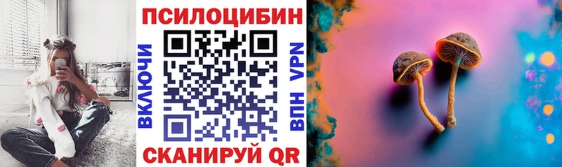 Псилоцибиновые грибы мицелий  Купить закладки  Краснознаменск 