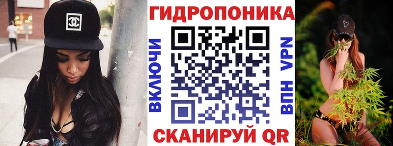 Марихуана сатива Купить закладки Краснознаменск